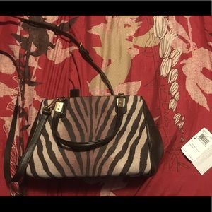 Coach zebra purse